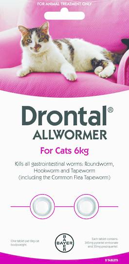 Drontal Allwormer Tablet for Cats (Up to 6kg) 2tablets